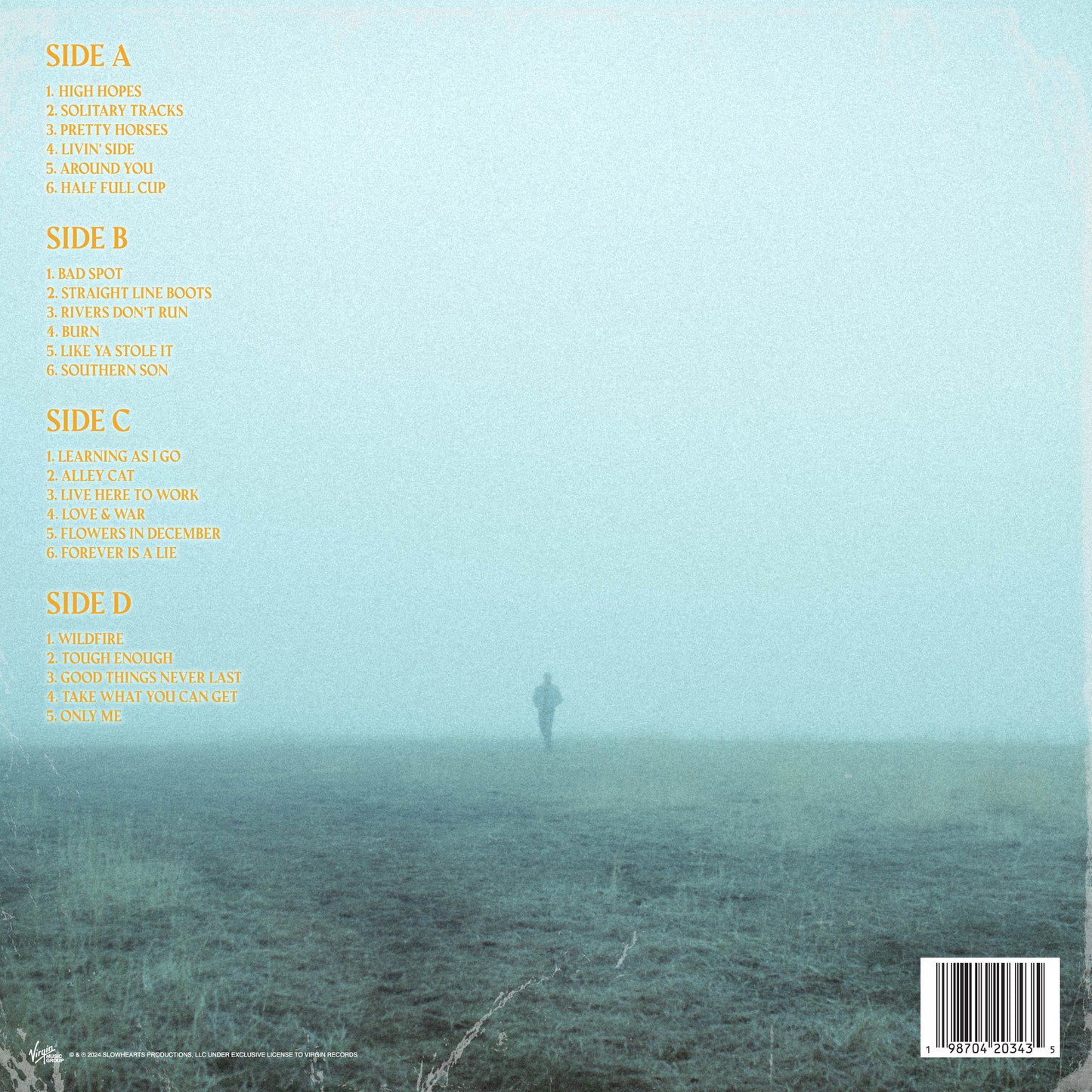 Solitary Tracks Vinyl Album